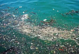 新宝6测速印尼出了塑料垃圾新解决方案：用海藻做原料